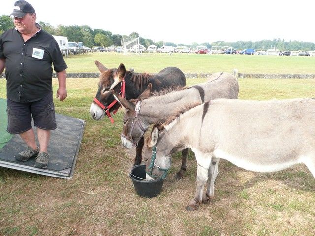 vide grenier 2012 (25).jpg